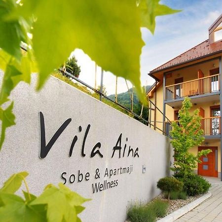 Villa Aina Boutique Hotel Laško Exterior foto